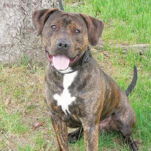 Fundraising Page: Tim Delp